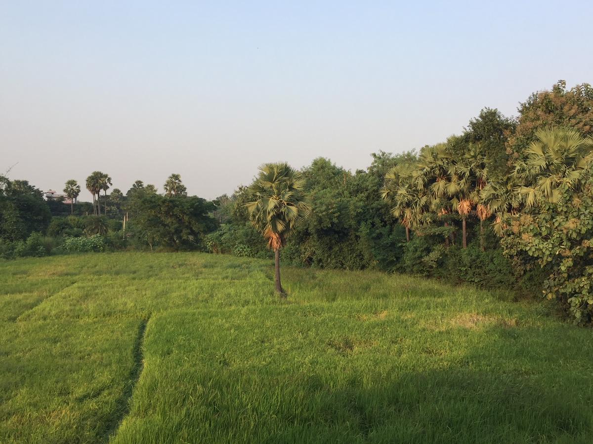 Sachi Home Bodh Gaya Ngoại thất bức ảnh