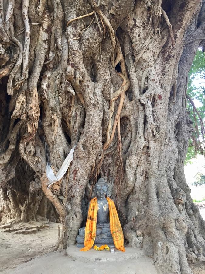 Sachi Home Bodh Gaya Ngoại thất bức ảnh